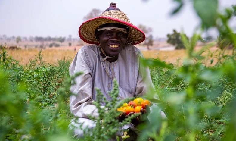 Egy viharos éjszaka a szülőszobán – Amikor minden darabokra hullik