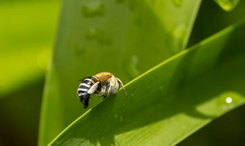 Két tűz között: Egy meny, egy anyós és az elfogadás keresése
