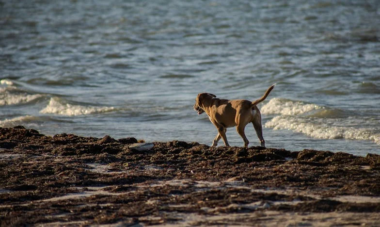 Négy fal között: Egy döntés, ami mindent megváltoztatott