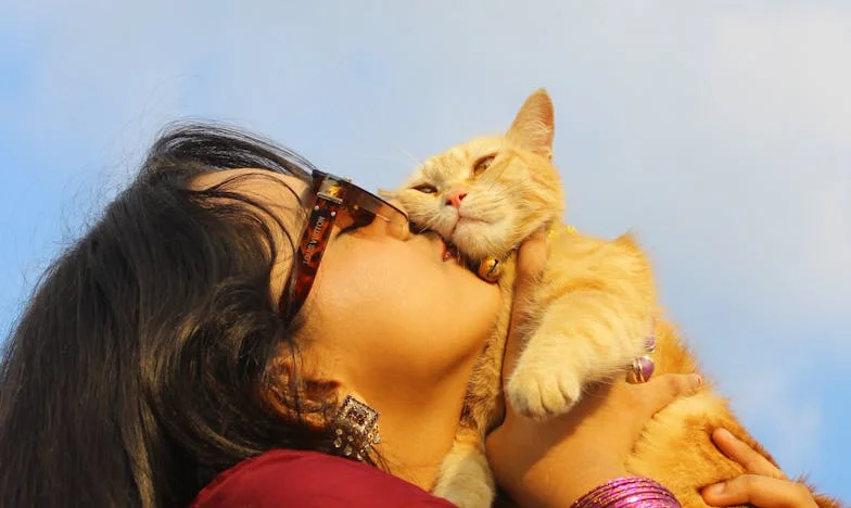 „Nincs benned semmi lelkiismeret?” – Egy magyar család titkai és árulásai egy örökség árnyékában