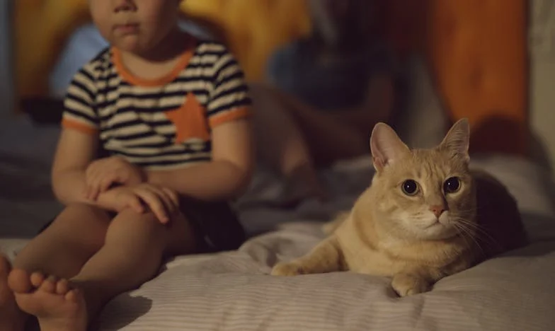 Amikor újra találkoztam Évával a kasszánál: Egy elveszett szerelem és a második esély története