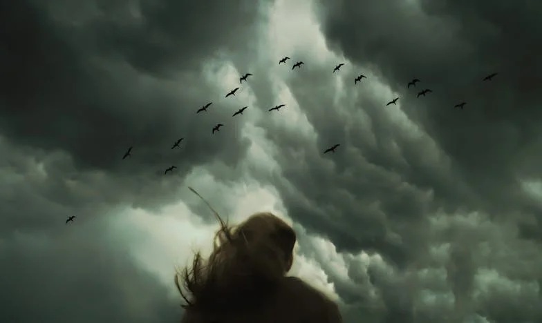 Anyósom árnyékában: Egy magyar meny naplója az önállóságért vívott harcról