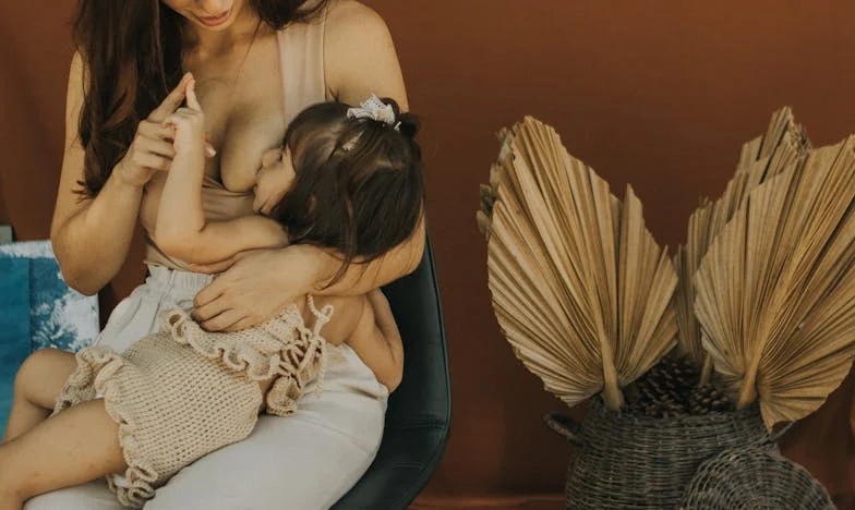 Az utolsó akarat: Amikor a családi kötelékek elszakadnak