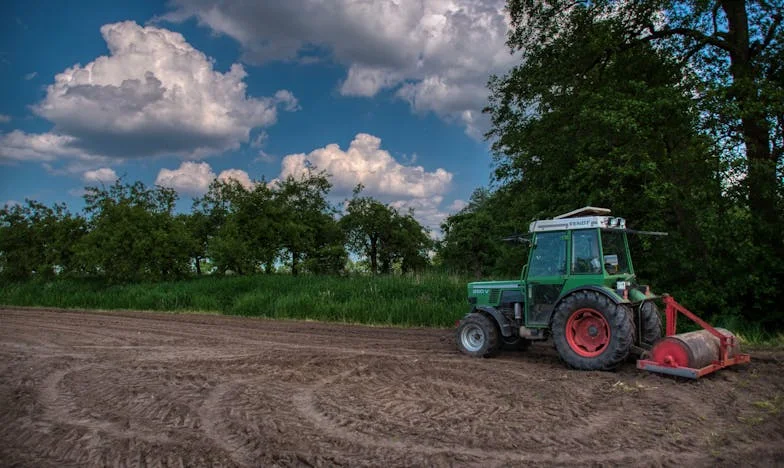 Az árulás ára: Egy család széthullása a bizalom miatt