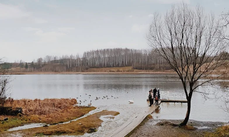 Egy milliárdos hazatért váratlanul – és amit a házvezetőnő tett, örökre megváltoztatta az életét