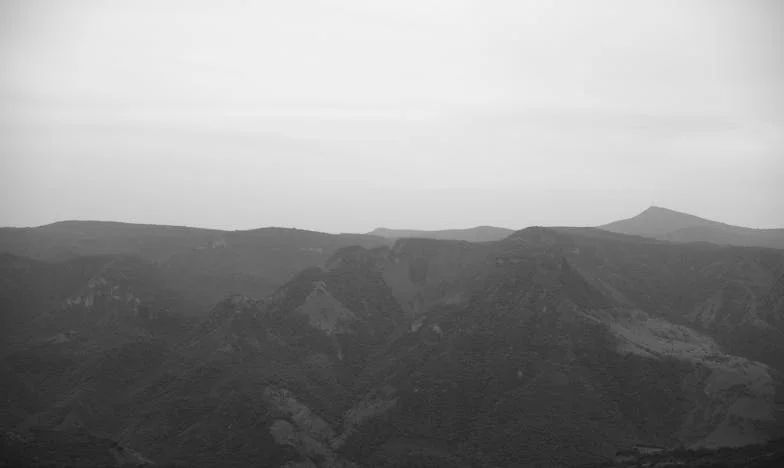 Beklenmedik Misafirler: Bir Hafta Sonu Yüzleşmesi