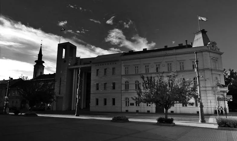 Bir Adamın Küllerinden Doğuşu: Zeynep’in Ardından