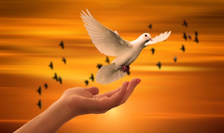 Bir Mektup Her Şeyi Değiştirdi: Gerçeğin Peşinde Bir Kadının Direnişi