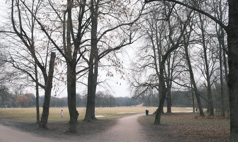Dans Etmek İstiyordum – Bir Türk Kadınının İhanet, Kaza ve Yeniden Başlama Hikayesi