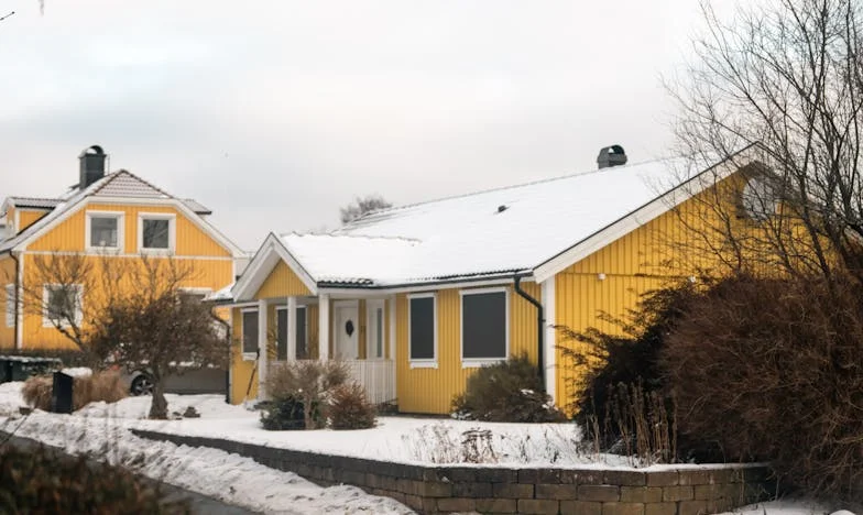 Kâğıttaki Ev, Avuçtaki Kalp: Petroviç Ailesinde Miras Savaşı