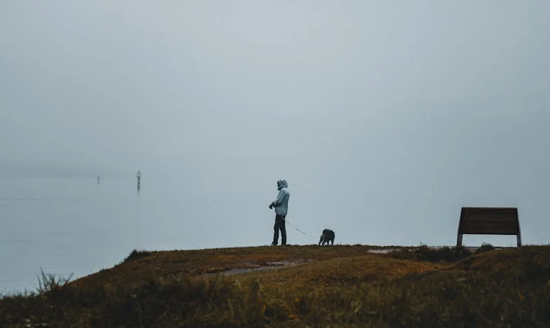 Kayınvalidemi Habersiz Ziyaretlerden Nasıl Vazgeçirdim: Beklenmedik Bir İntikam
