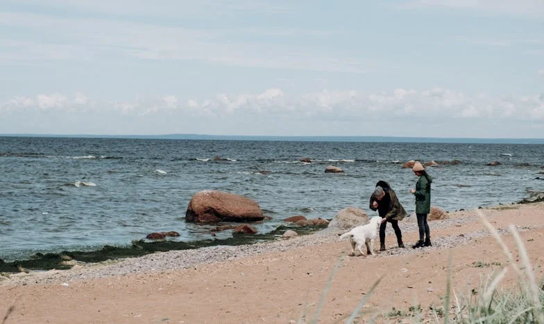 Kızım Beni Kötü Bir Büyükanne Olmakla Suçladı: Emeklilikte Yalnızlık ve Aile İmtihanı