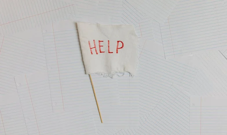 “Neden Sen de Zeynep gibi Yemek Yapmıyorsun?” – Bir Türk Kadınının Mutfakta ve Hayatta Verdiği Mücadele