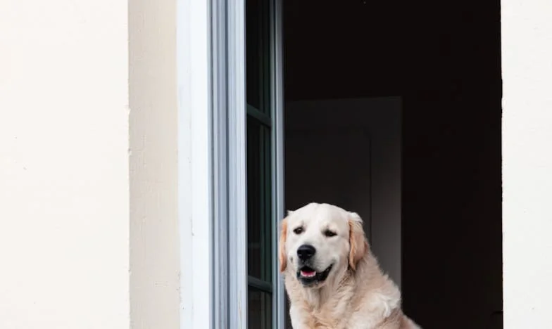 Oğluma Ev, Bana Gözyaşı: Boşanmanın Ardından Kıskançlık ve Yeni Başlangıçlar
