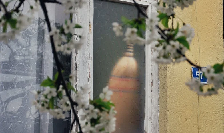 Salgın Gibi Yayılan Bir Borç: Savaş ve Barış Arasında Bir Aile