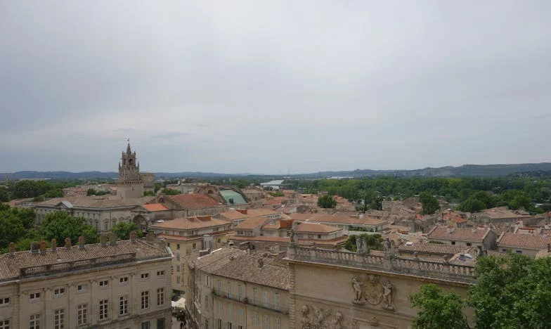 Între două lumi: Povestea unei alegeri imposibile