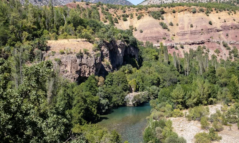 Între Două Inimi: Drumul Spre Iertare al unei Soacre