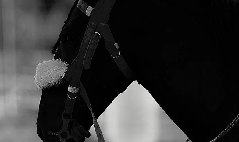 Adevărul care doare: O zi care mi-a schimbat viața