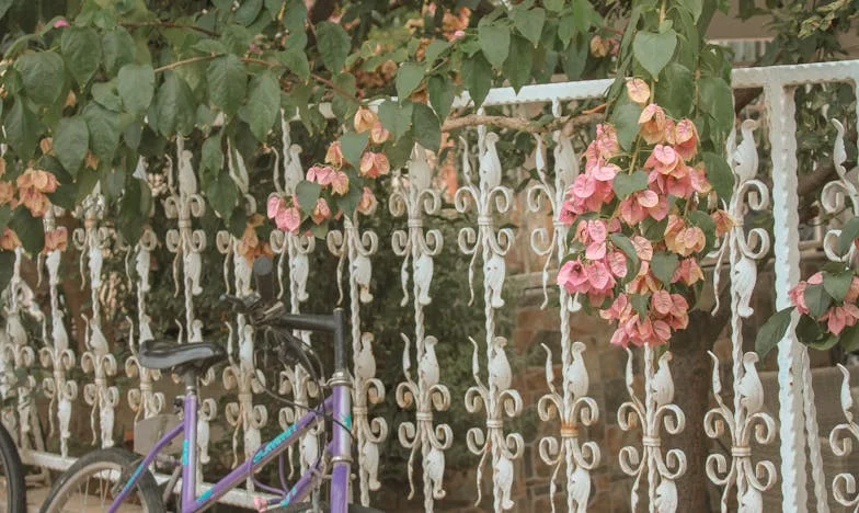 Am dat afară soțul și soacra din apartamentul meu – și nu regret!