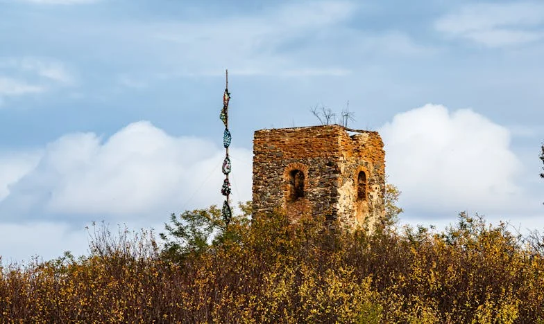 Când am spus prima dată „nu” mamei mele: Povestea unei eliberări dureroase