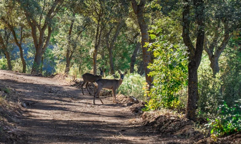 Când casa nu mai e acasă: Povestea unui tată din Ploiești