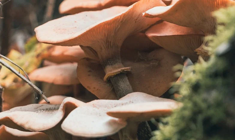 Când fiica mea mi-a lăsat nepotul: secrete de familie care au schimbat totul