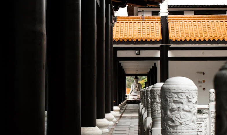 Când mama alege nora în locul fiului: Povestea mea despre durere, mândrie și un nou început