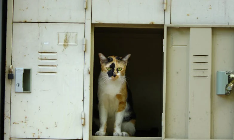 Când tăcerea doare: Povestea unei mame care luptă