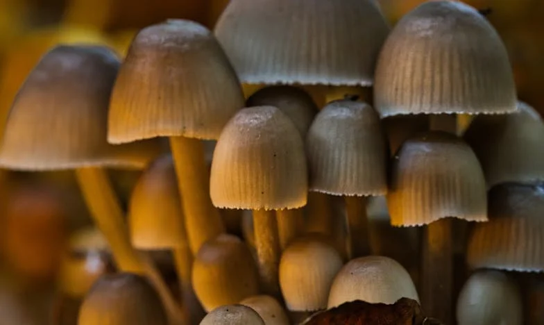 Casa goală a surorii mele: Povestea unei mame uitate