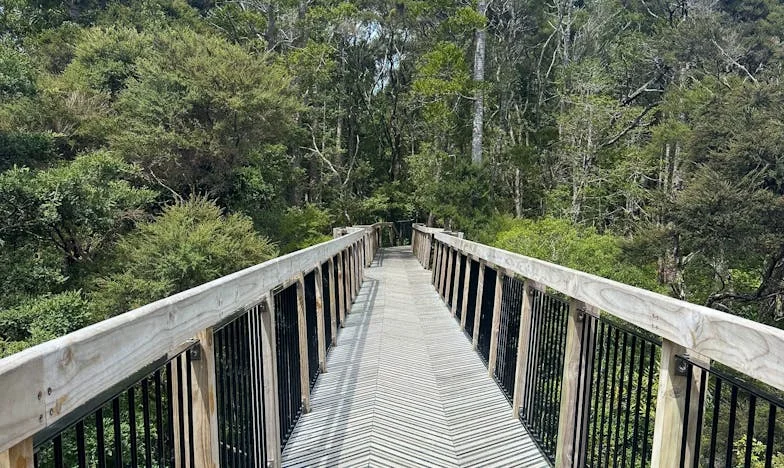 Dincolo de perete: Granița dintre liniște și disperare