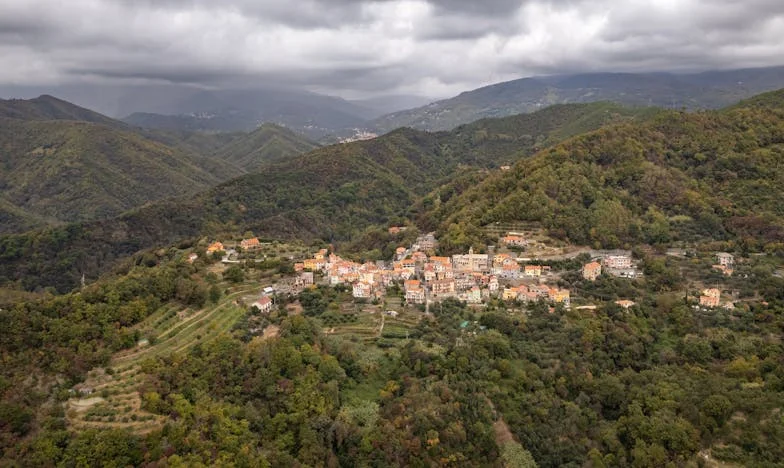 Două drumuri spre adevăr: Povestea gemenilor pierduți și a unei mame