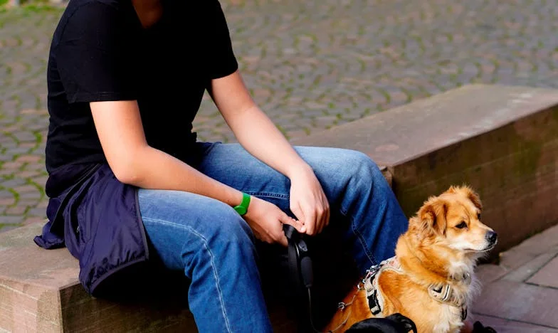 Oaspetele neașteptat: Când tata-socru schimbă totul