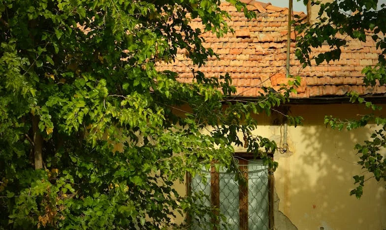 Odată ți-am cerut să mă asculți: Povestea unei mame, a fiului ei și a dragostei pierdute