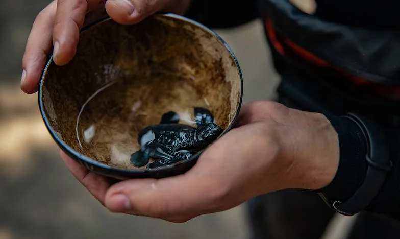 Sunetul soneriei: Mărturisirea unei soacre – poveste despre pierdere, trădare și iertare