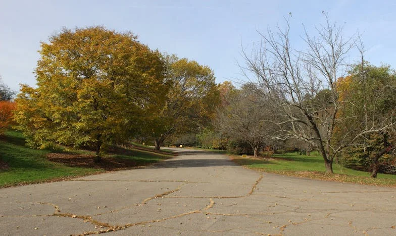 Totul pentru familie – și totul pierdut