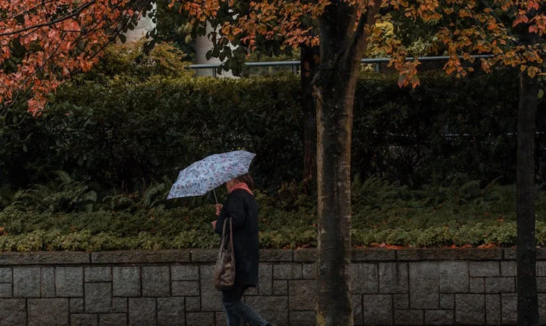 Ultima promisiune făcută mamei: Între lacrimi și speranță în inima Bucureștiului