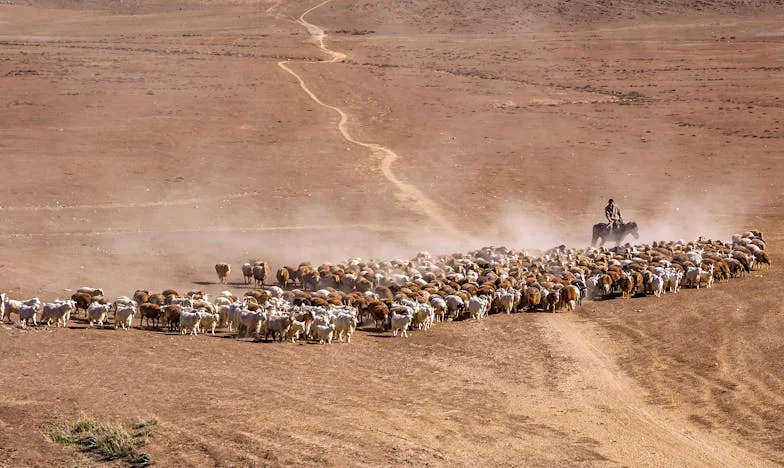 Vara care mi-a destrămat familia: Cum a transformat soacra mea vacanța într-un câmp de luptă