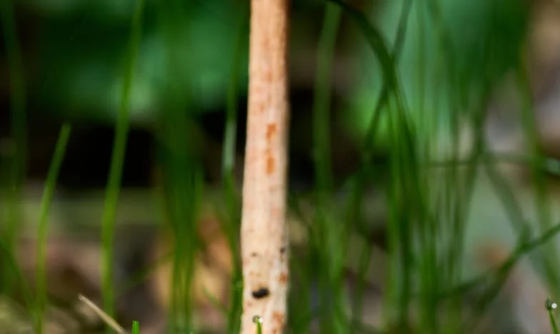 Ascunsă după ușă: Noaptea când am fugit cu copiii mei