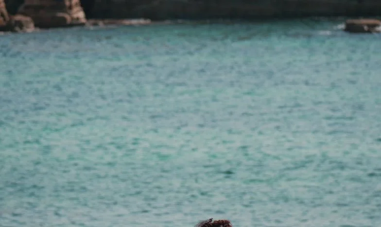 „Asta a fost tot?” – Povestea unei femei românce la marginea divorțului