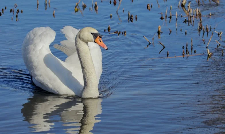 Banii mei, banii noștri – Povestea unei moșteniri care a sfâșiat o familie