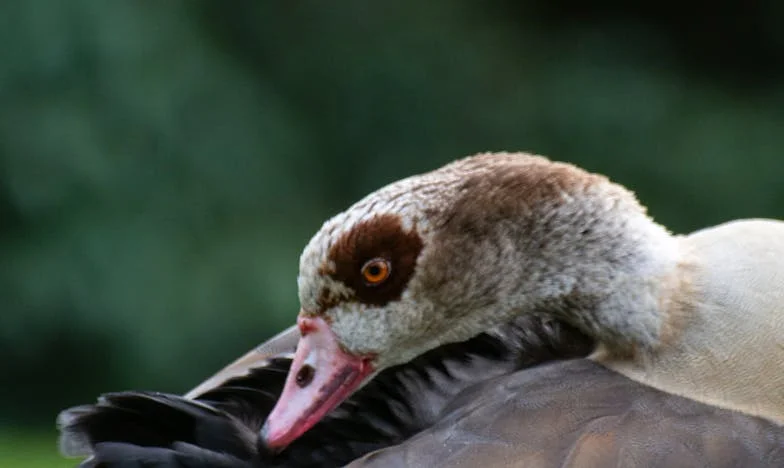 Când am rugat-o pe soacră-mea să-mi ajute: Răspunsul care mi-a schimbat viața