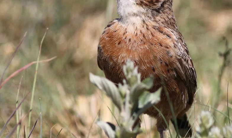 Când bunica a aflat că nepoții așteaptă moștenirea ei – povestea care ne-a sfâșiat familia