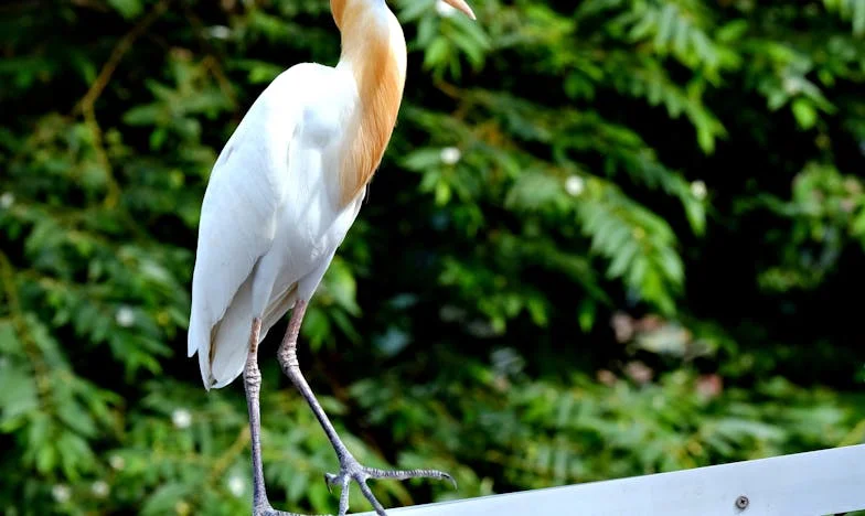 Când dragostea doare: Povestea Mariei, din umbra fricii spre lumină