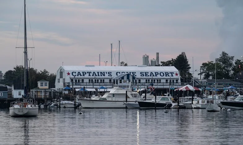 Când dragostea fiului meu a devenit furtuna familiei noastre