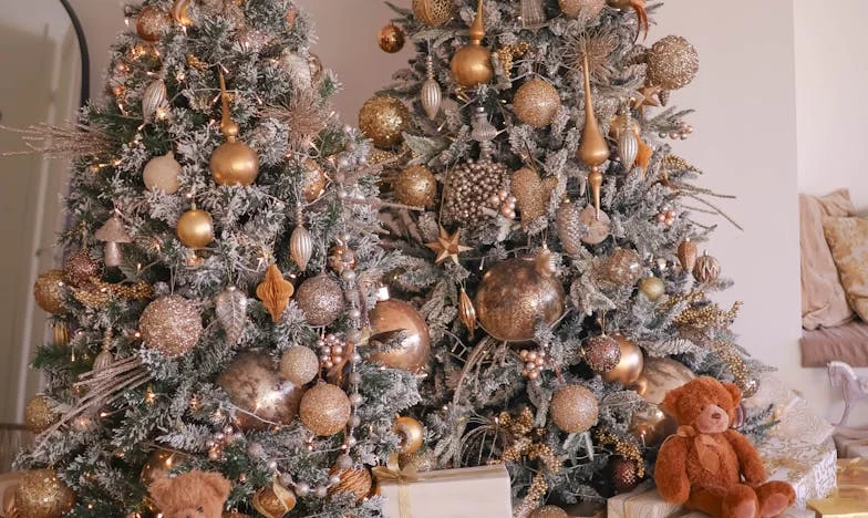 Când soacra dictează Crăciunul: De ce am refuzat să mai gătesc crapul