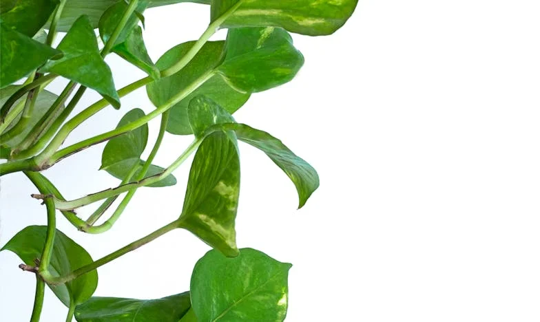 Când soțul m-a trimis departe: Povestea unei singurătăți în doi