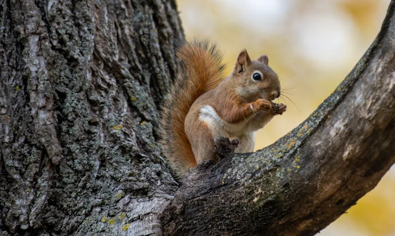 Când totul se rupe: Povestea unei trădări și a căutării iertării