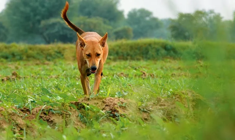 Când viața începe la apus: Povestea mea după pensionare