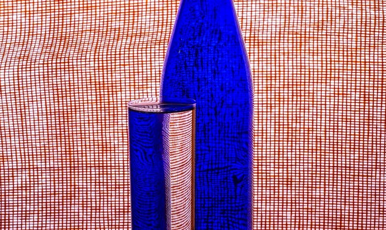 Casa secretă a soacrei mele: Lupta pentru adevăr și acasă