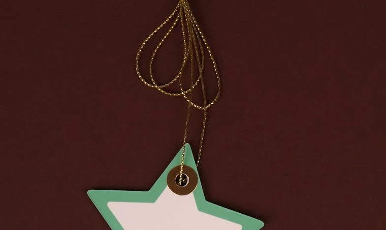 Copilul de lângă șine: Povara unui secret vechi de 25 de ani